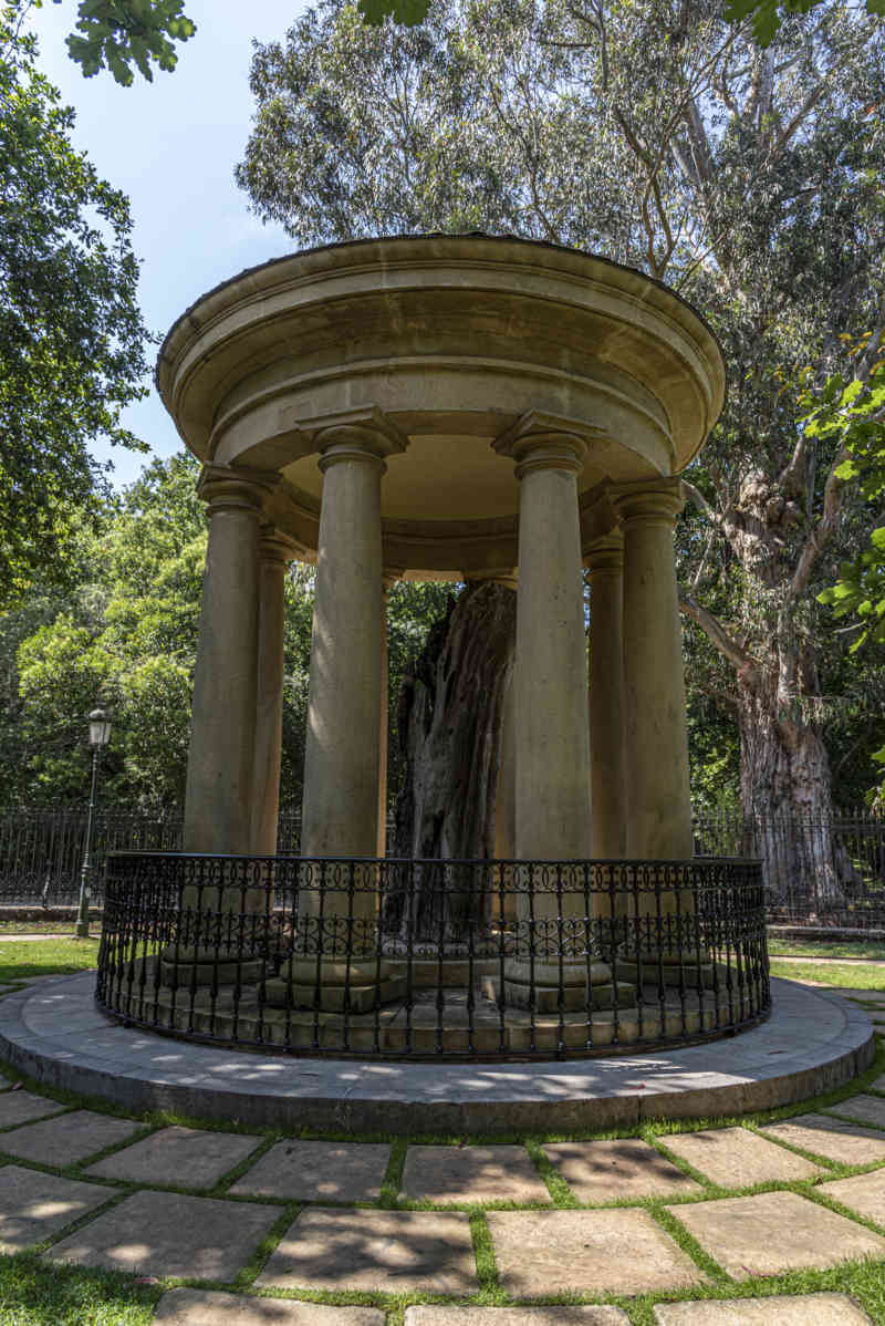 Vizcaya - Gernika-Lumo 13 - Casa de Juntas - antiguo árbol de Gernika.jpg